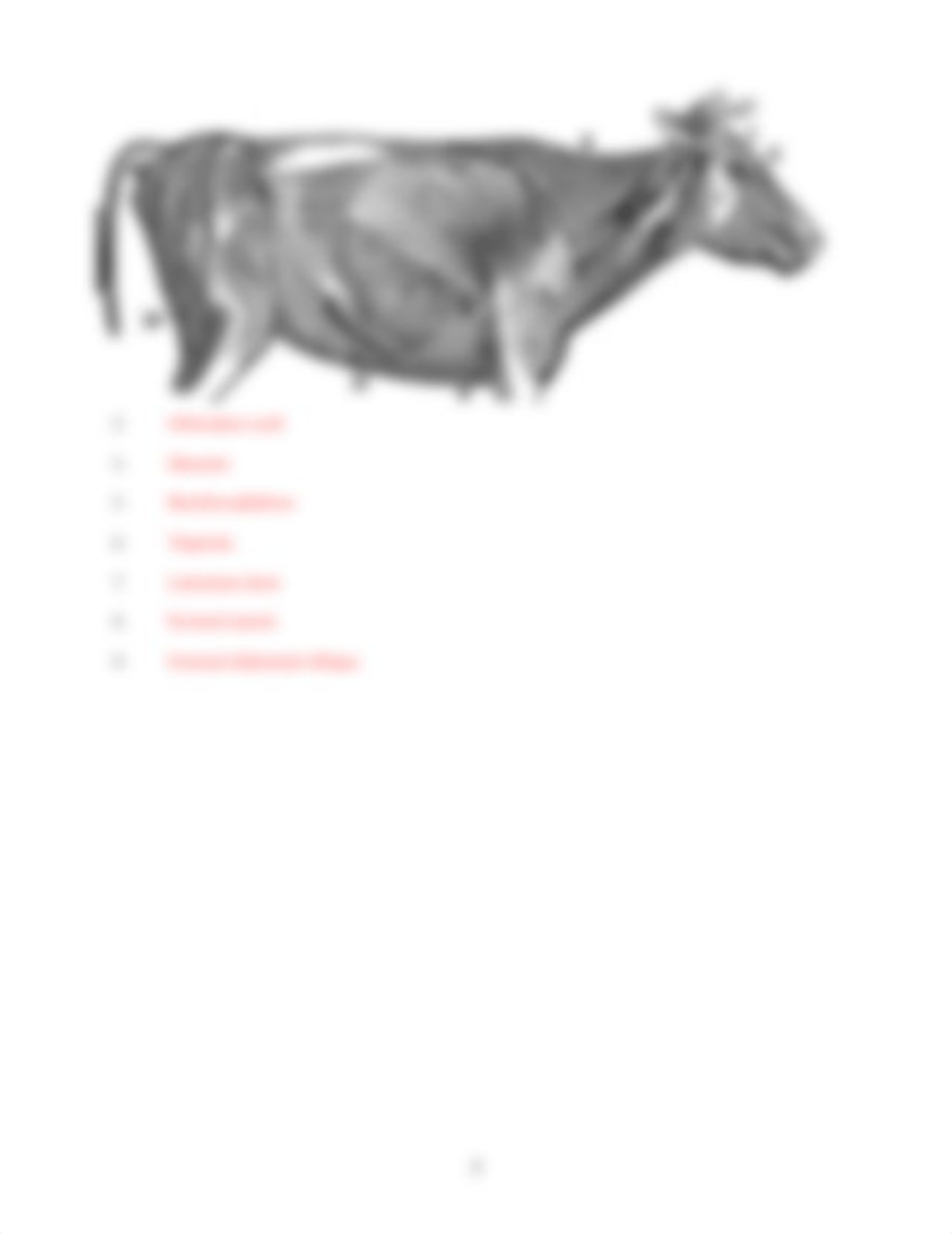 ASSN 5.2 MUSCLE IDENTIFICATION KEY(1).docx_do3wesv7qb2_page5