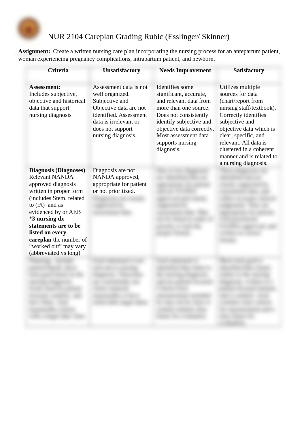 Level 3 Careplan Rubric_Fa20.docx_do41fyt7se5_page1