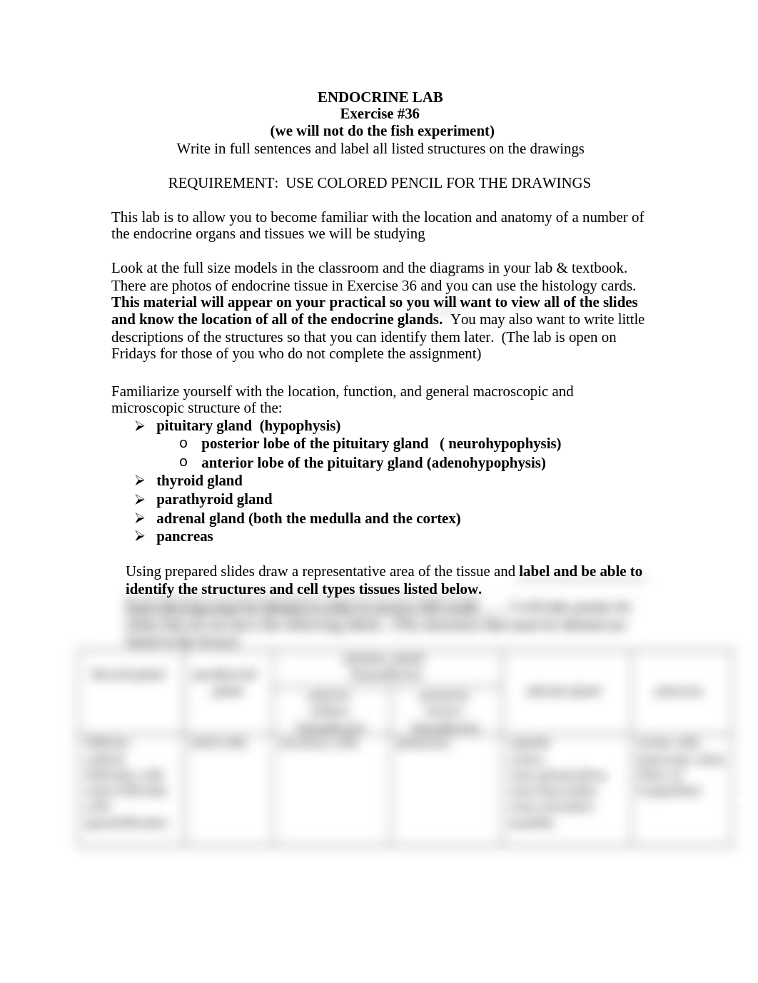 Lab A Endocrine.doc_do4btmm6rm5_page1