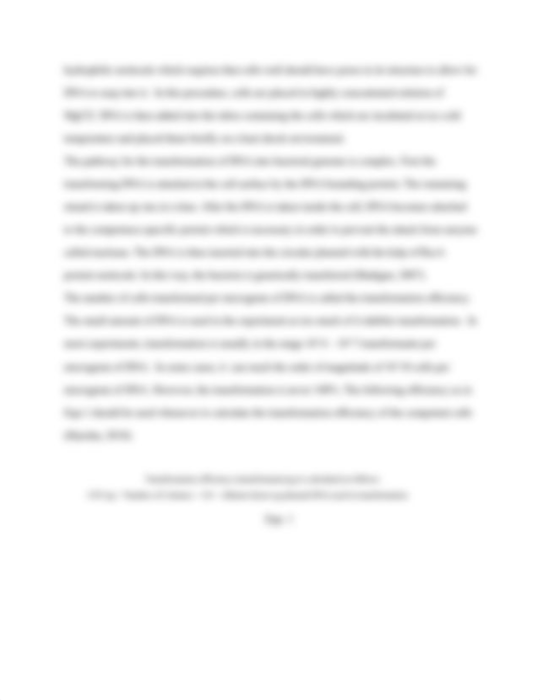 One_Step_Preparation_and_Transformation_of_Competent_Cells_do4ce2k6yh2_page4