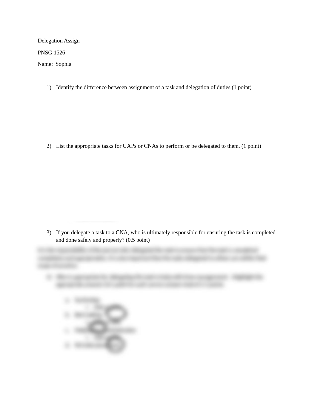 Delegation Assignment.docx_do4f2cvmdmb_page1