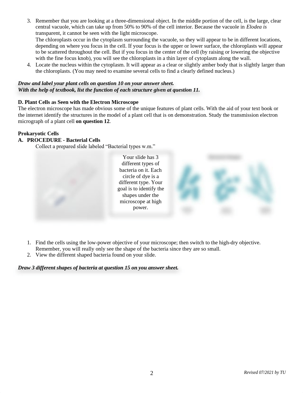 Structure and Function of Cells Lab (1).pdf_do4h70q75zp_page2