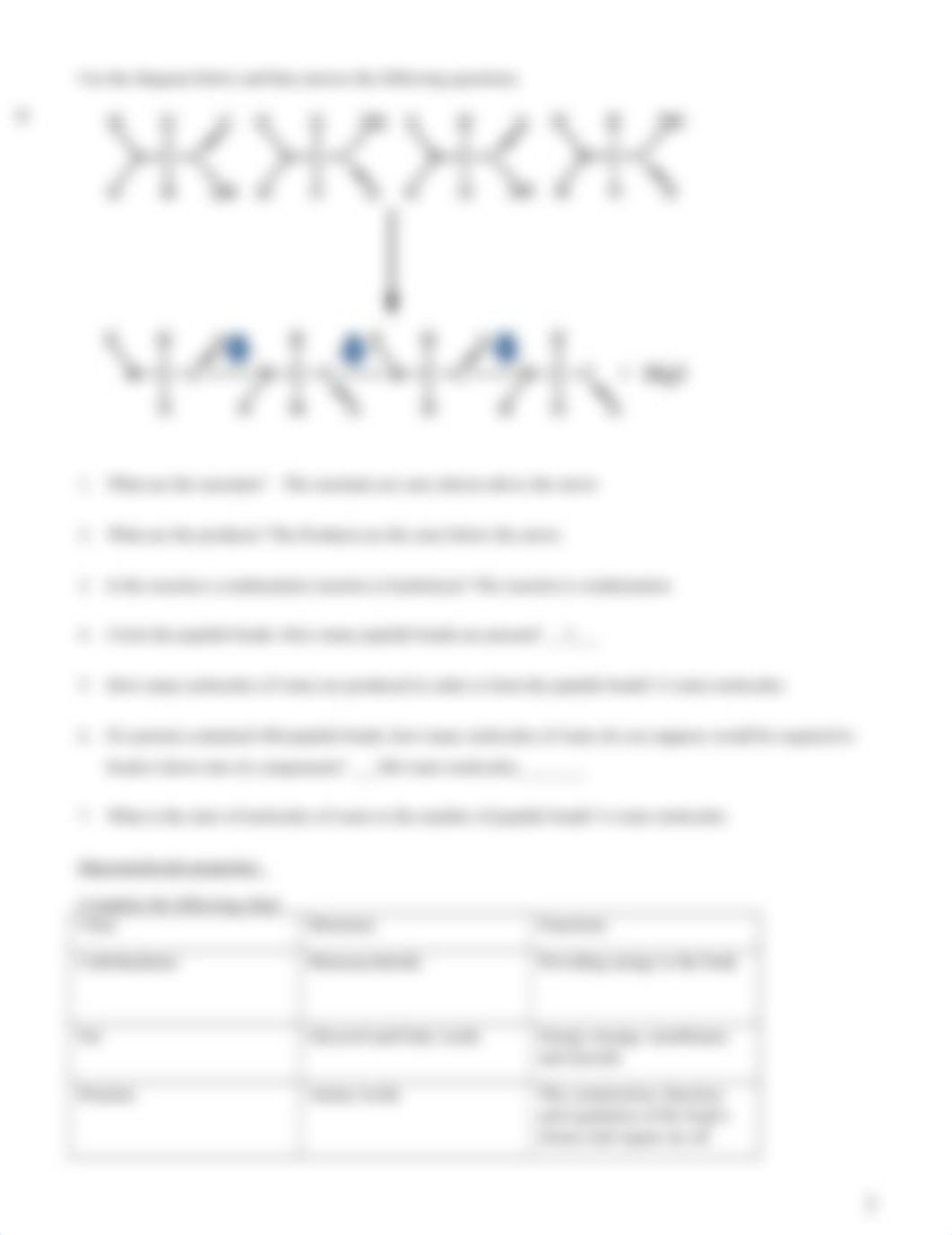 Macromolecules Worksheet.docx_do4hr5nhz7u_page2