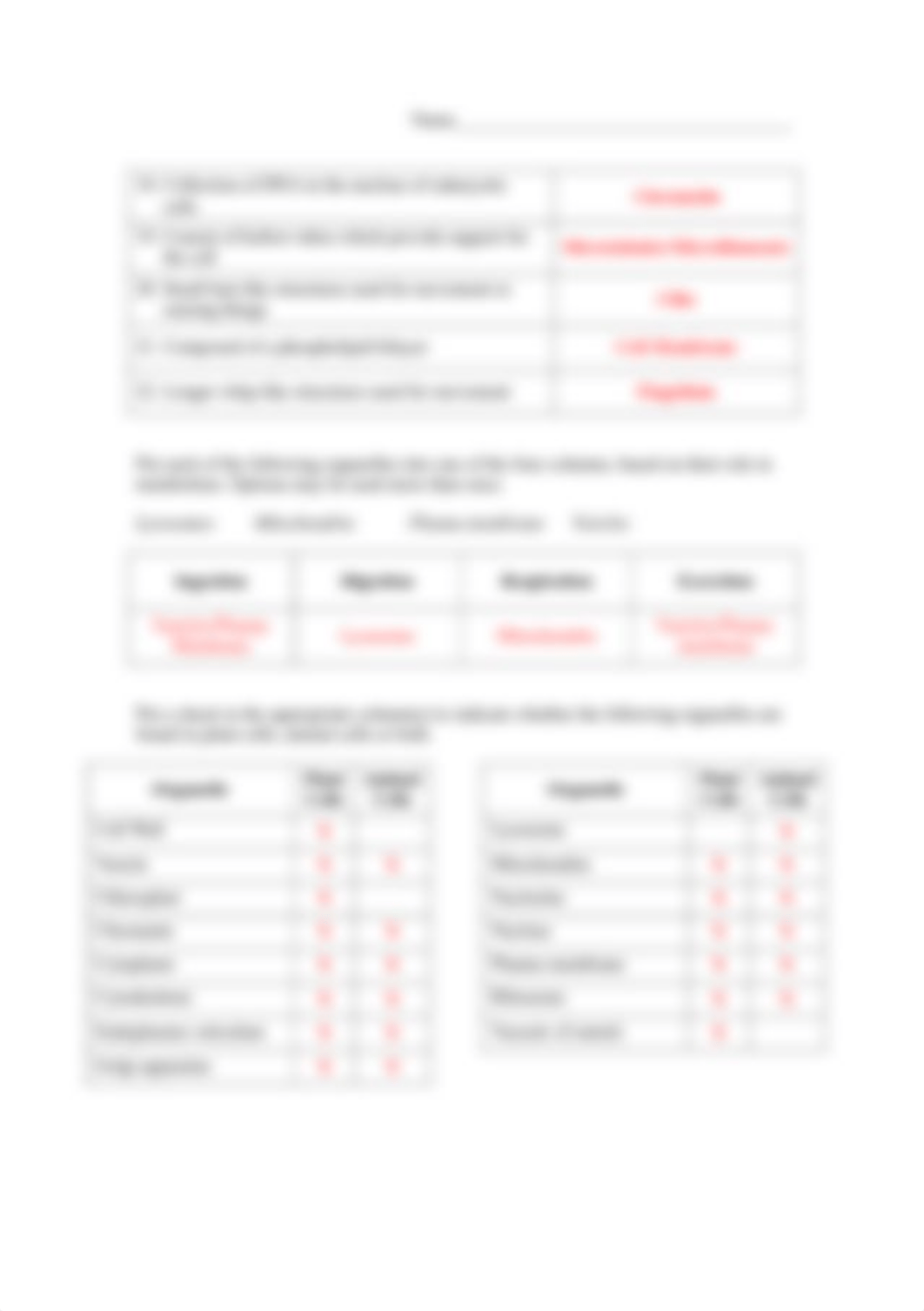 Cell Organelles Practice Ans (1).pdf_do4kpr36k24_page2