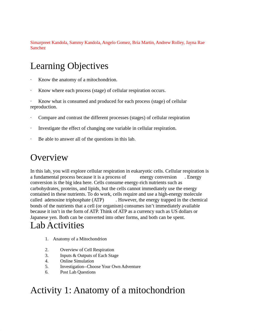 lab 4 .doc_do4pdqu5egi_page1