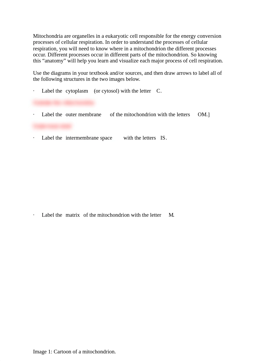 lab 4 .doc_do4pdqu5egi_page2