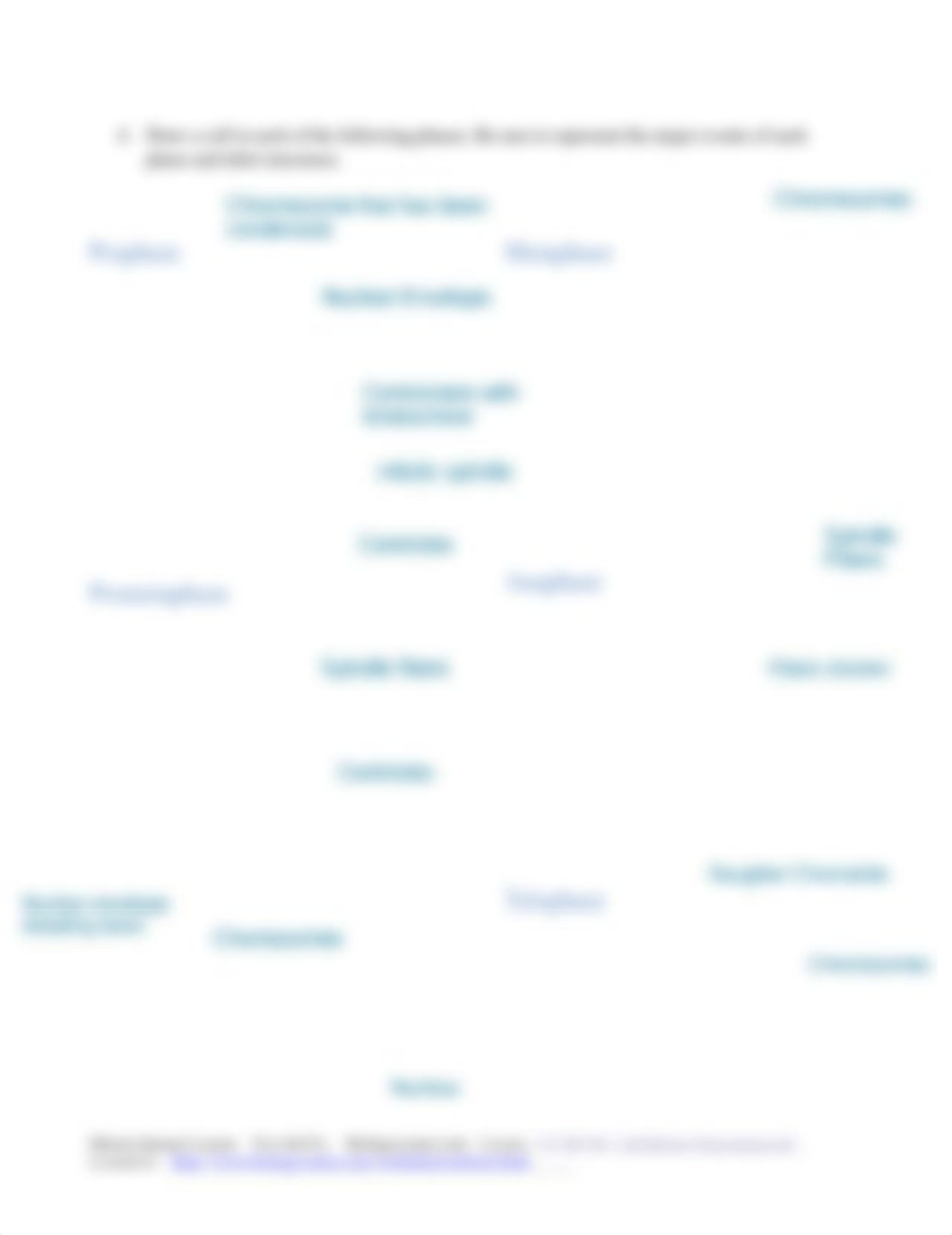 Mitosis_Worksheet.pdf_do58s3alunn_page2