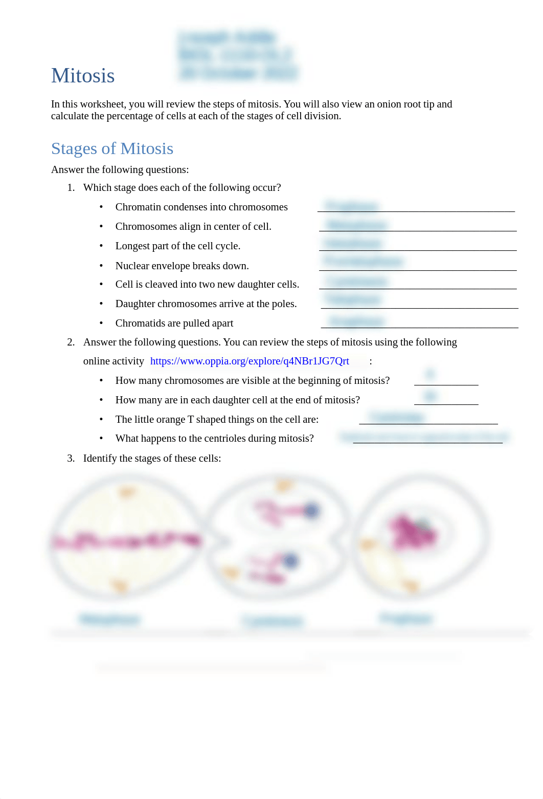 Mitosis_Worksheet.pdf_do58s3alunn_page1