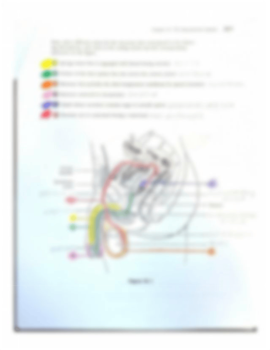 Reproductive Systems Packet.pdf_do5dzthmf4e_page2