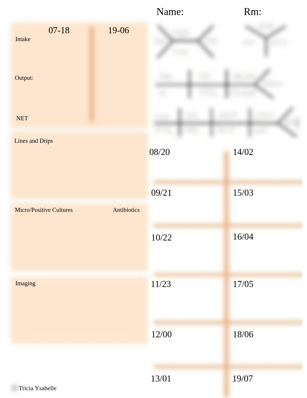 Nurse Report Sheet.pdf_do5r1ovfdeu_page3