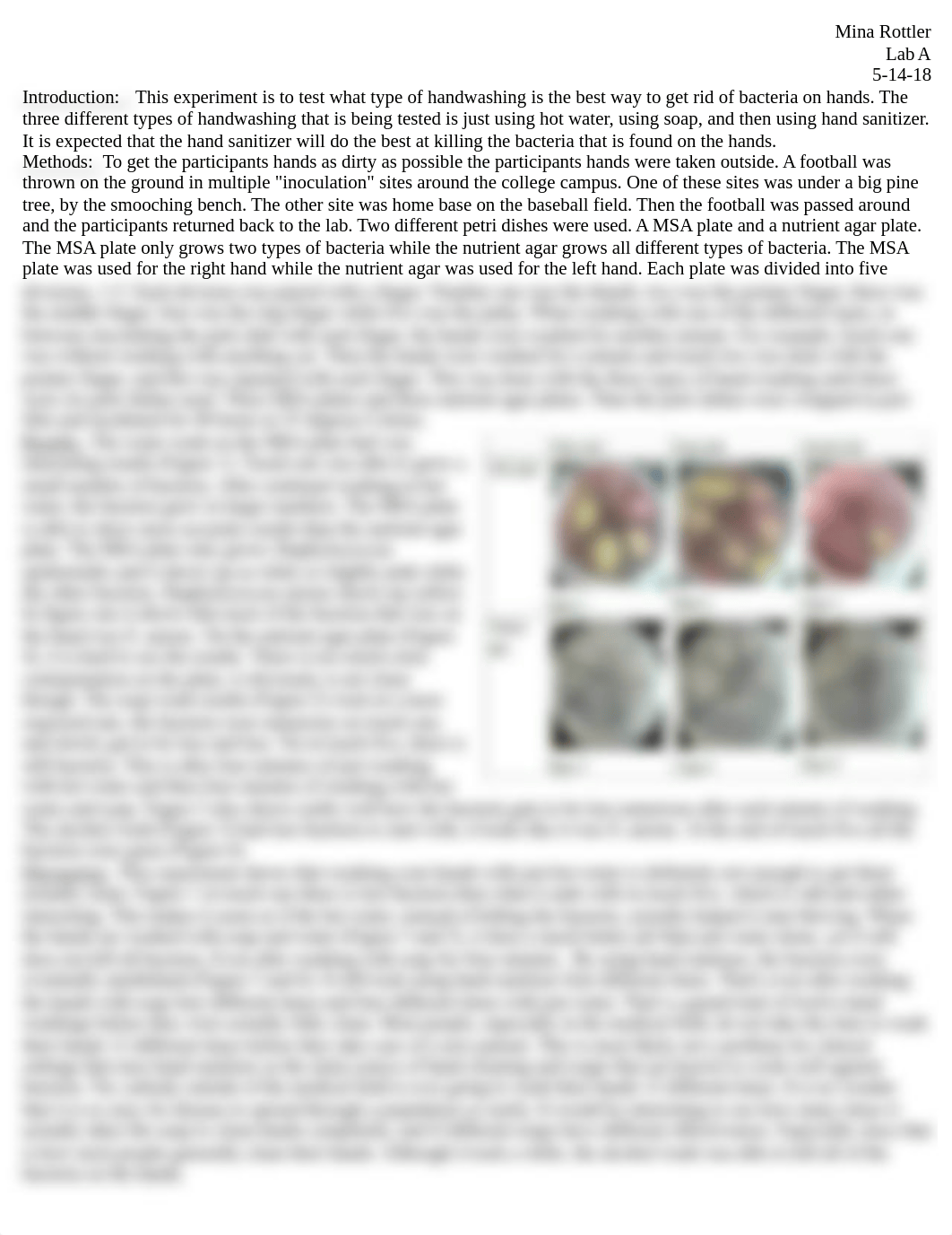 microlab report 6.docx_do5xnunydfk_page1