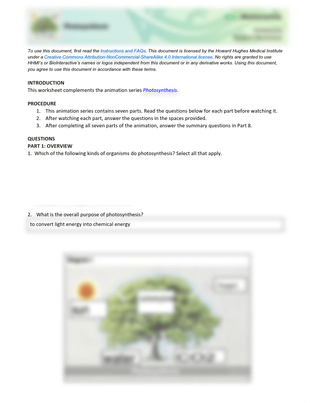 Copy of HHMI Biointeractive Photosynthesis Student Worksheet.pdf_do627wv2hwy_page1