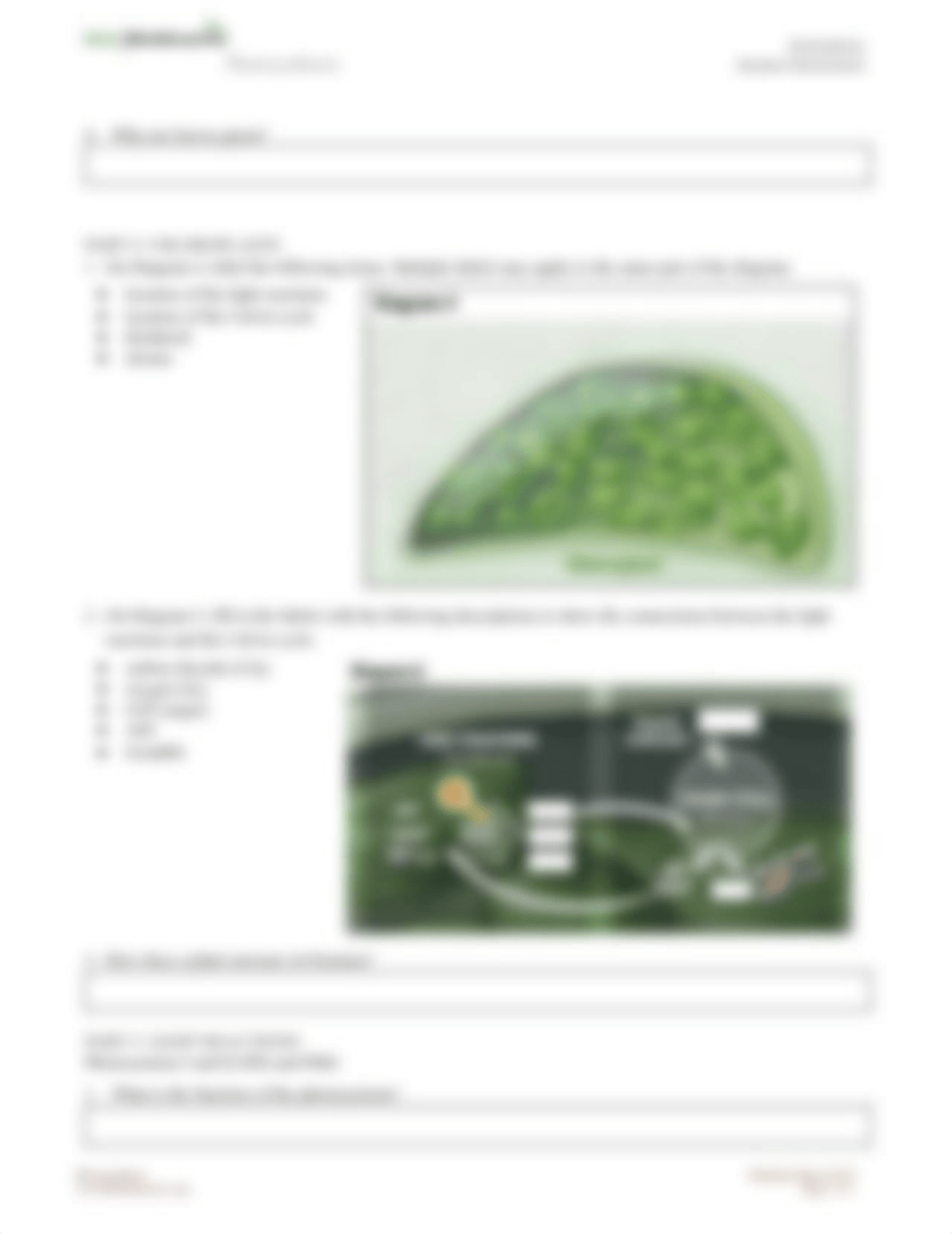 Copy of HHMI Biointeractive Photosynthesis Student Worksheet.pdf_do627wv2hwy_page3