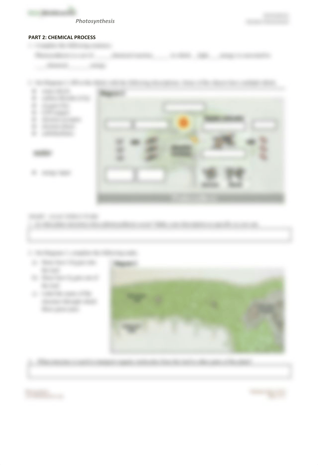 Copy of HHMI Biointeractive Photosynthesis Student Worksheet.pdf_do627wv2hwy_page2