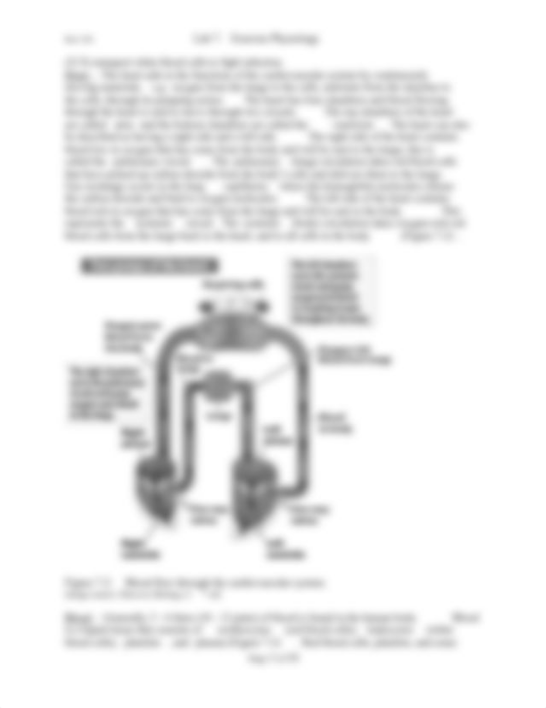 BIOL 100 Lab 7 Exercise Physiology Assignment.docx_do666yhz3ot_page3