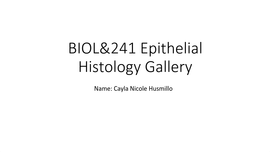 HusmilloCW21Epithelial.pdf_do6tsxz9fan_page1