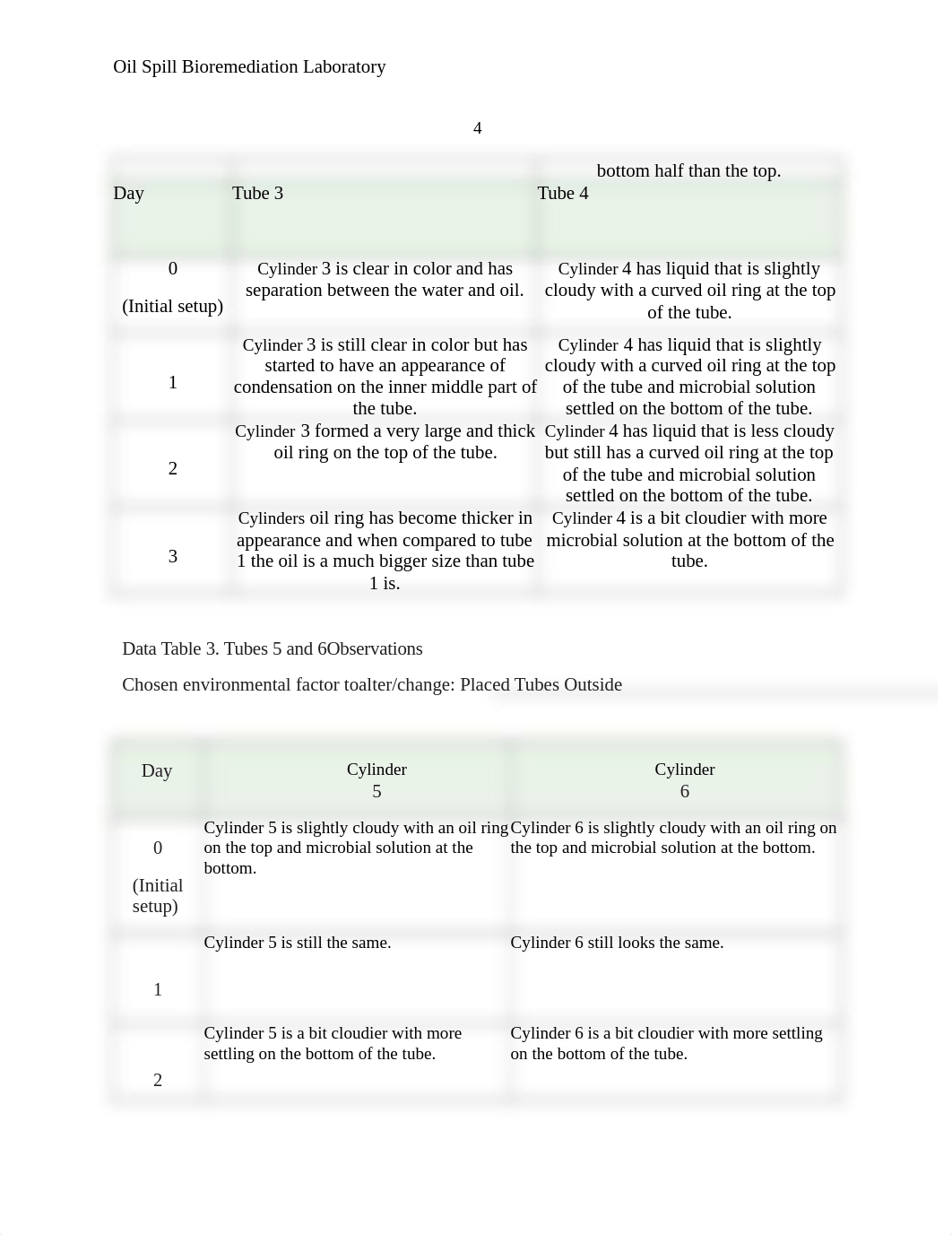 Oil Spill Bioremediation.docx_do6y00wdlxm_page4