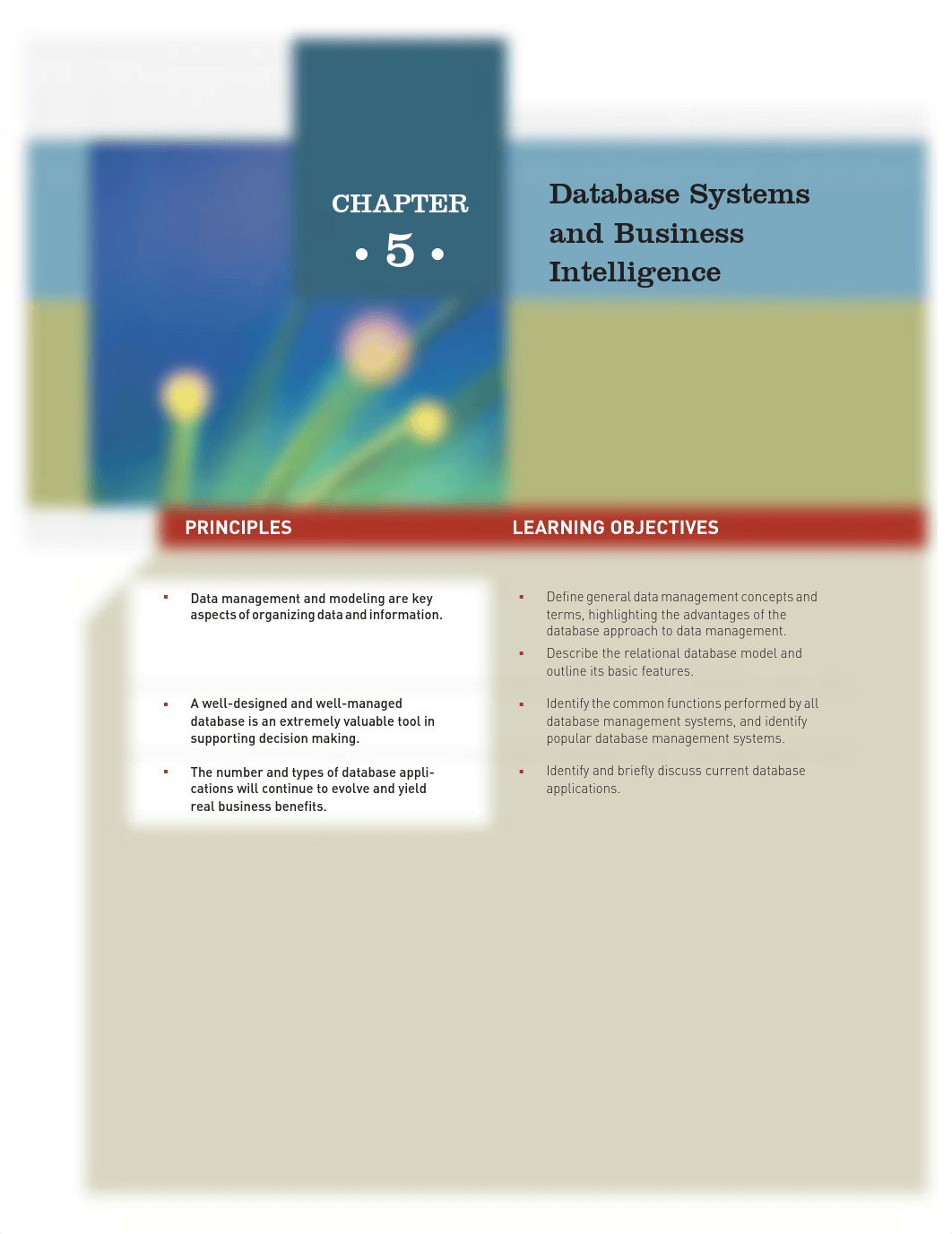 Principles of Information Systems a managerial Approach 9th Chapter 5_do702jsx8cf_page1