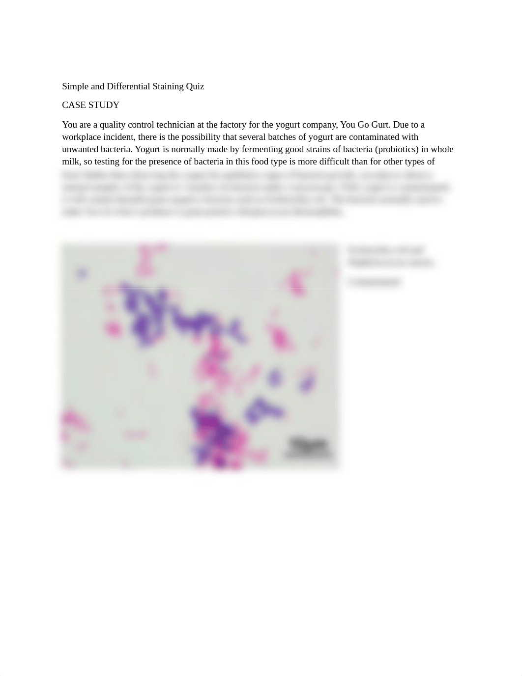 Simple and Differential Staining Quiz-Image1.docx_do726p2ma8q_page1