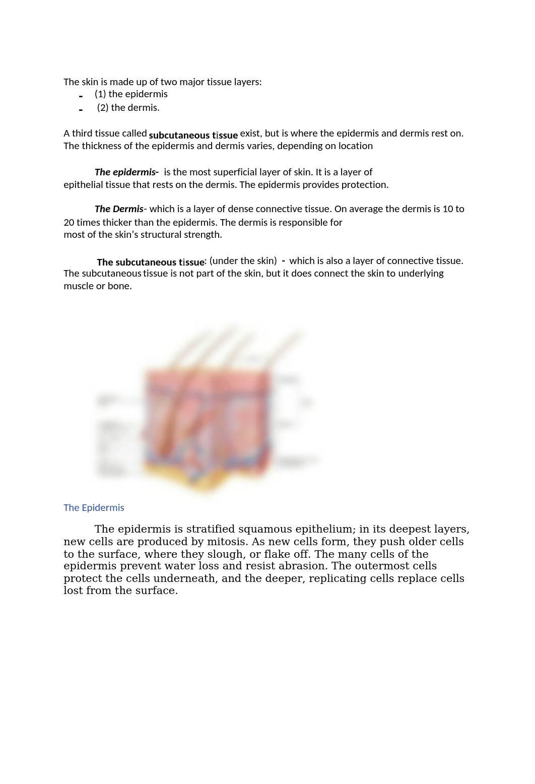 Chapter 5- Integumentary System- Reading Marterial.docx_do7aun2oz5m_page2