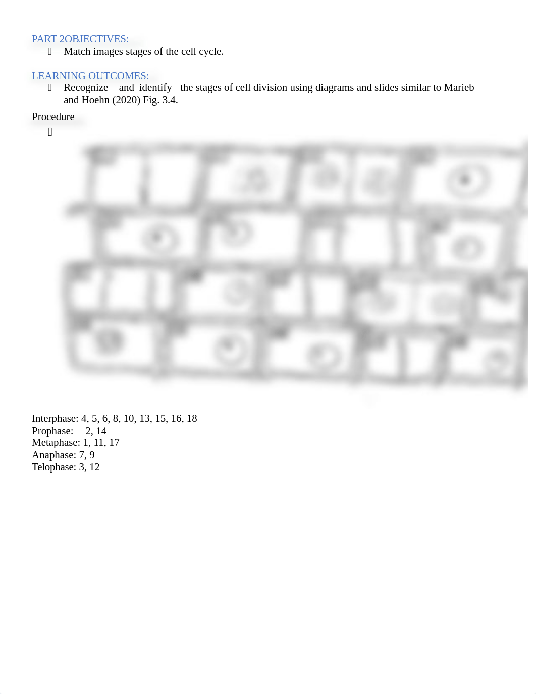 Lab 2 - Cells and Cell Division (3).docx_do7f0q6pfdu_page2