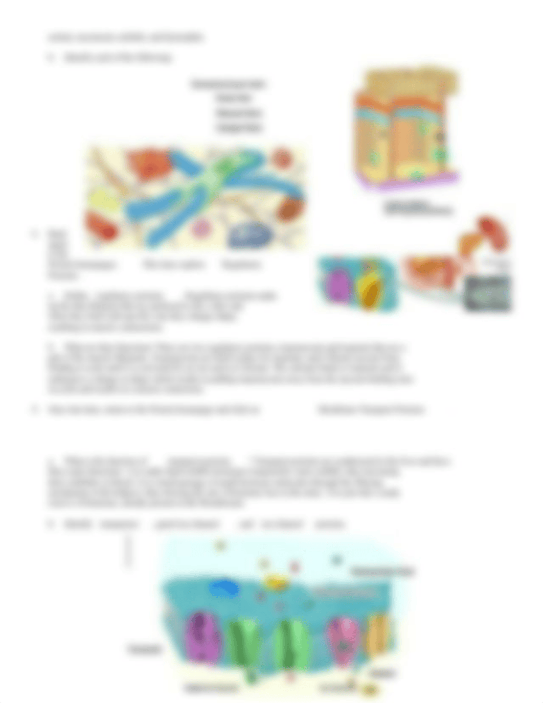 Common biomolecules.doc_do7gmlqgl8n_page3