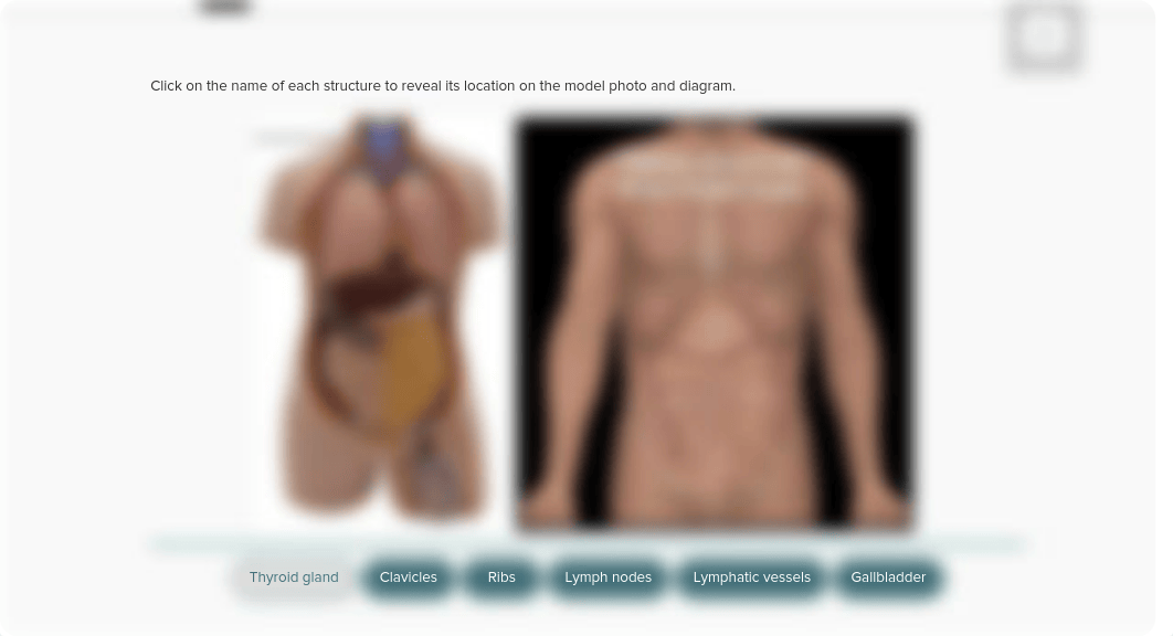 Lab exam 6, 7, 8 images (1).pdf_do7hl3twc5n_page5