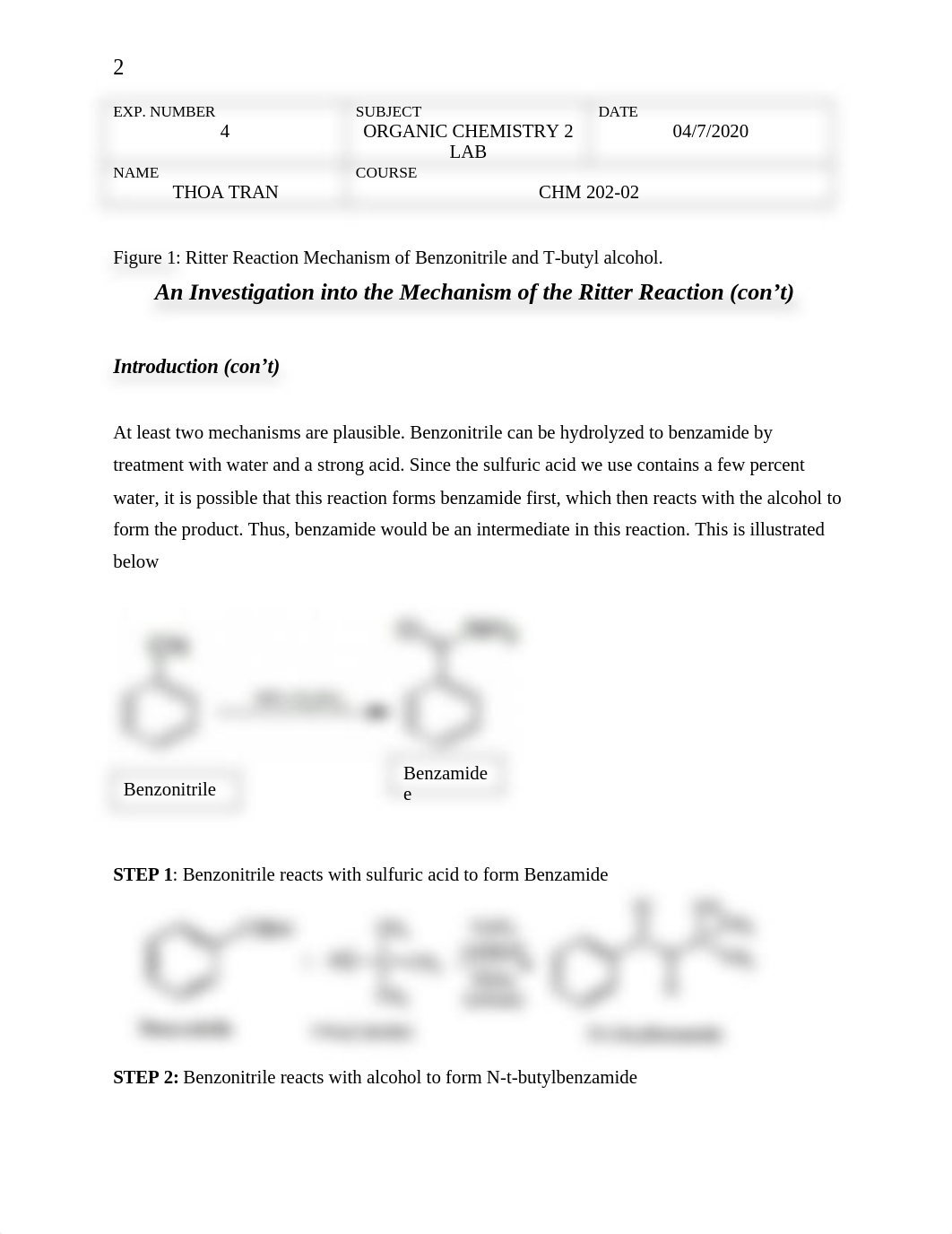 Lab 4 An Investigation into the Mechanism of the Ritter Reaction CHM 202-02.docx_do7l6nlven6_page2