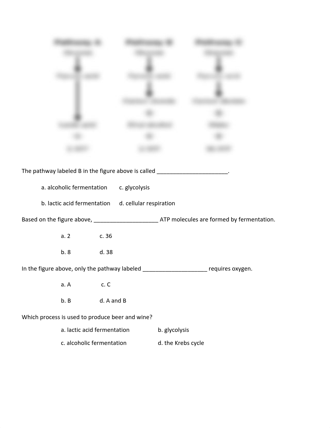 fermentation worksheet.pdf_do84muxm3l3_page2