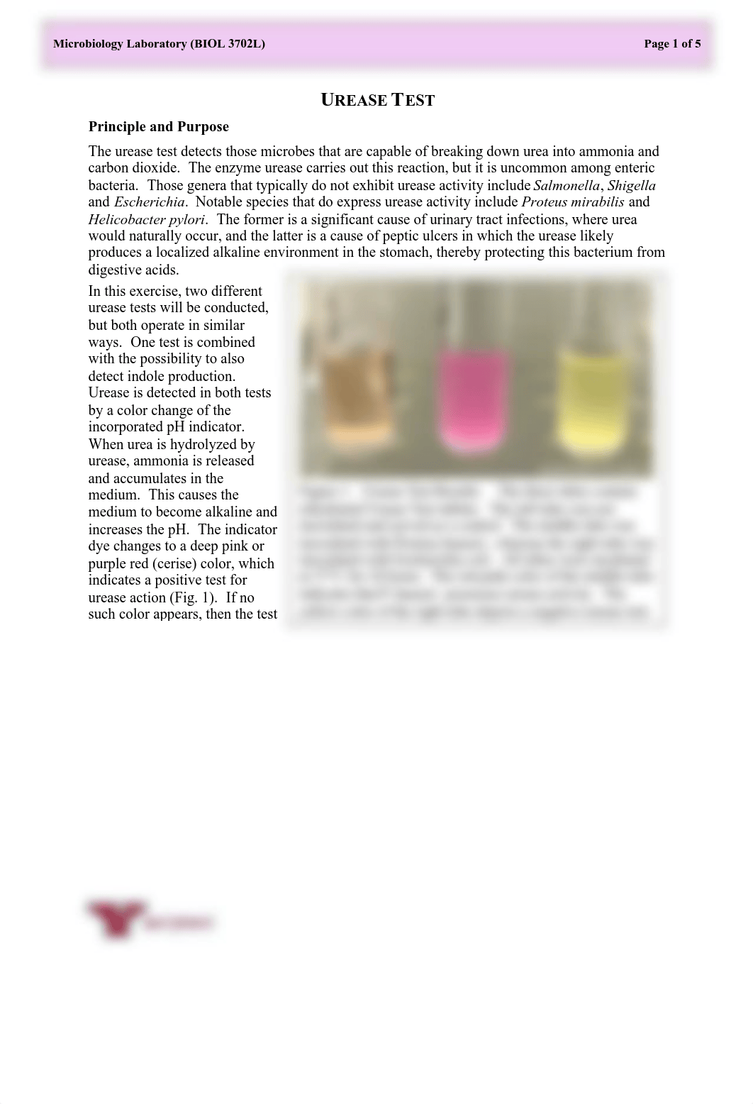 urease-test.pdf_do86lpydgqo_page1