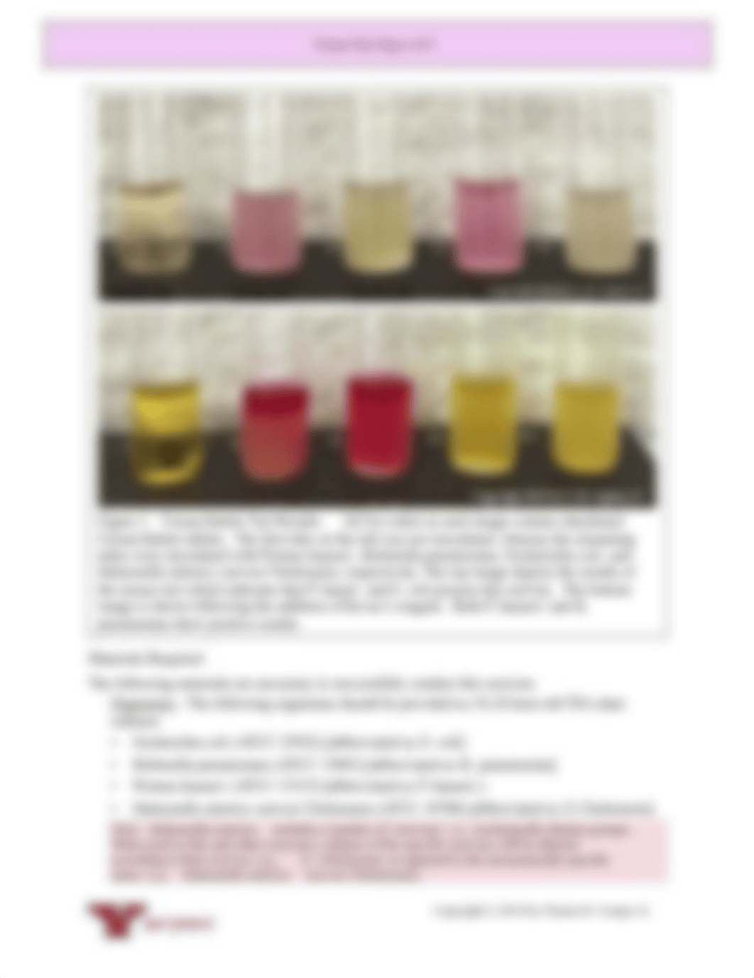 urease-test.pdf_do86lpydgqo_page2