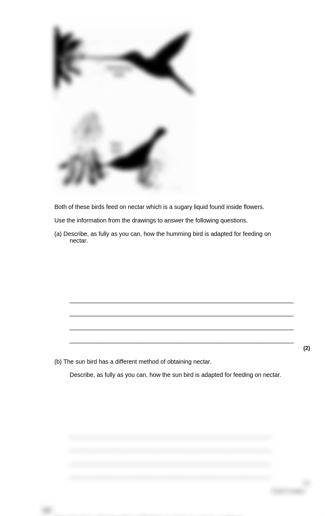 Adaptation-3.pdf_do89fnzy7j1_page4