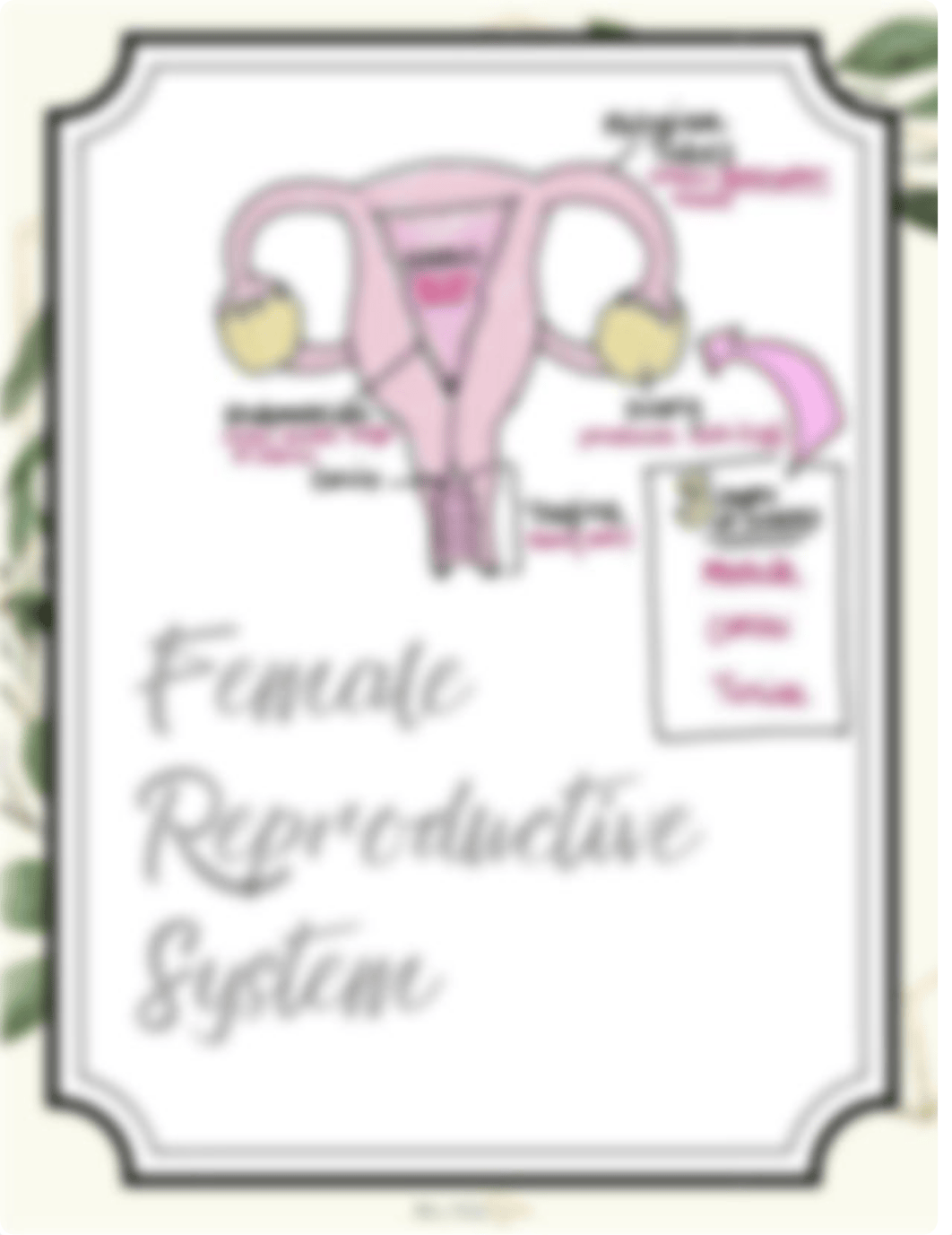 Maternity_OB Study Kit.pdf_do8e7lg9pex_page3