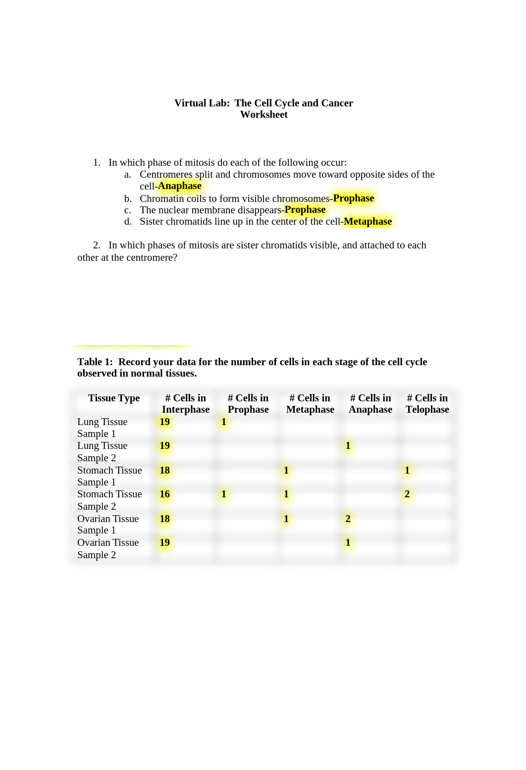 The Cell Cycle and Cancer Worksheet (2).doc_do8jz9a0mi9_page1