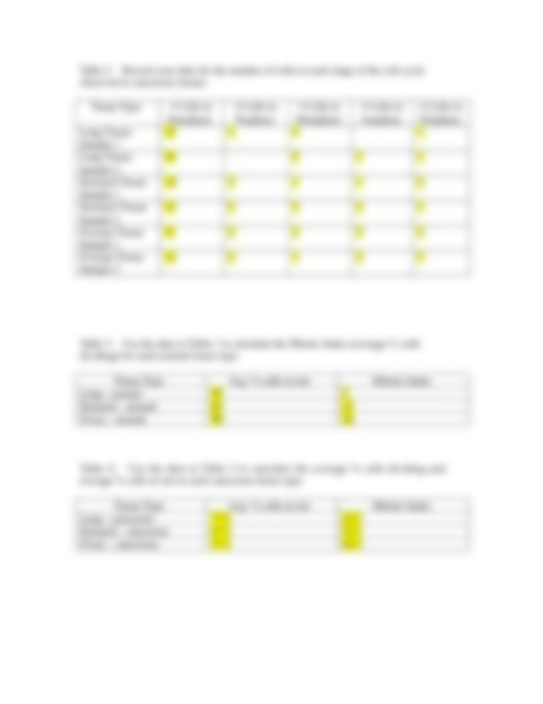 The Cell Cycle and Cancer Worksheet (2).doc_do8jz9a0mi9_page2