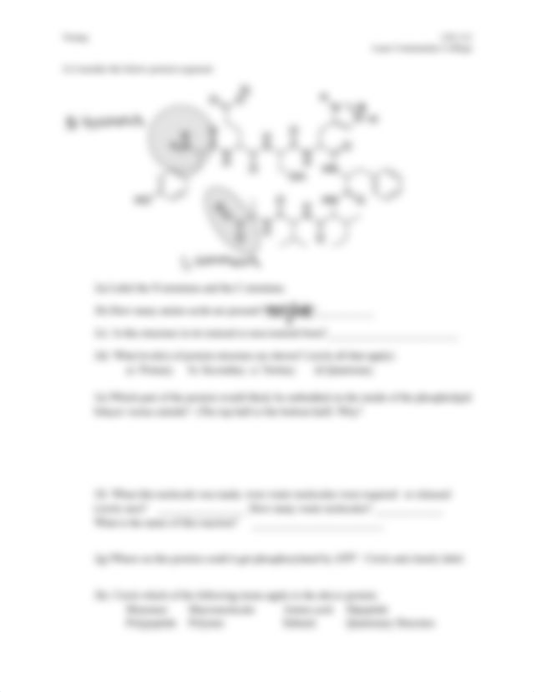 HW - Protein Structure 2.pdf_do8obscv0fv_page2