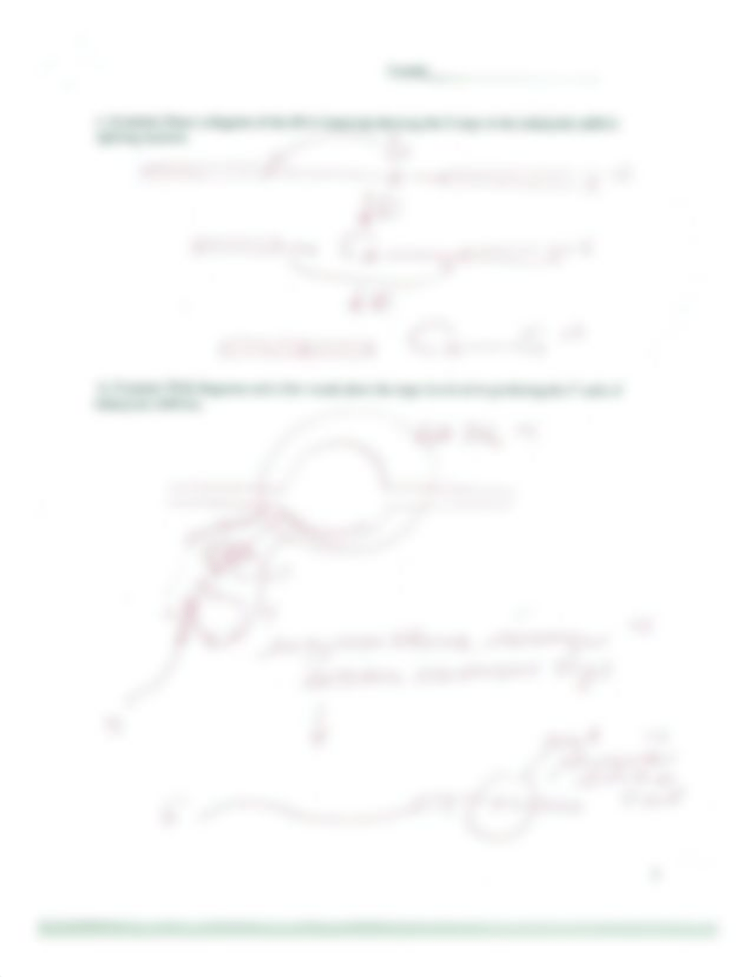 BIO198 Exam 3 Answer Key_do93gdtpemf_page3