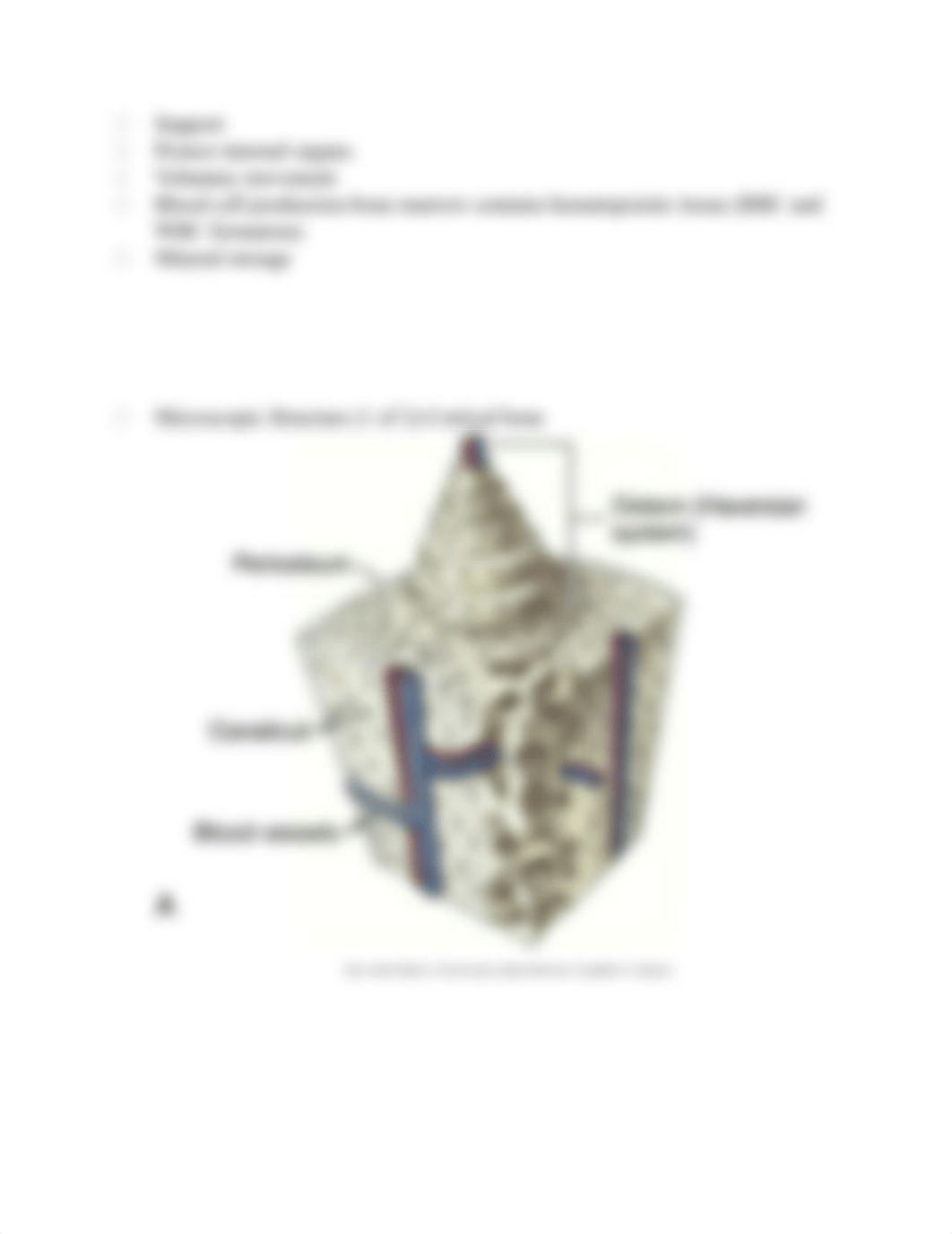 Chapter 61 Outline Assessment.docx_do9gcxx506f_page2