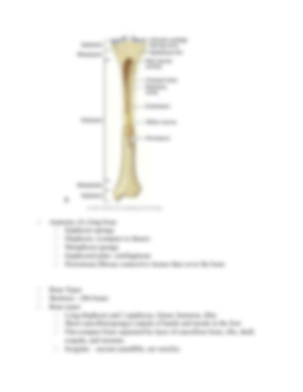 Chapter 61 Outline Assessment.docx_do9gcxx506f_page4