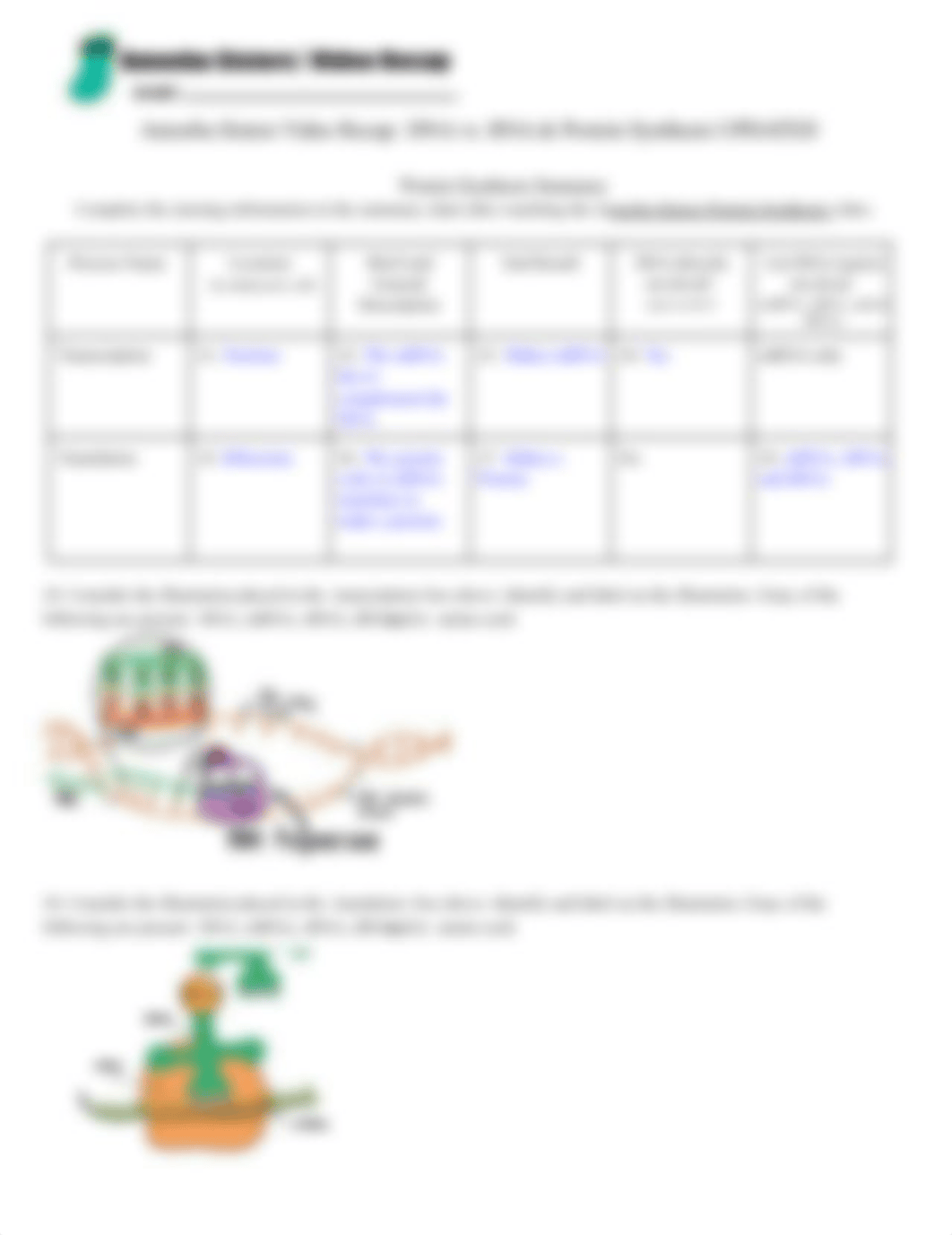 Ameoba Sisters DNA vs RNA & Protein Synthesis.pdf_do9kiekuhjm_page2