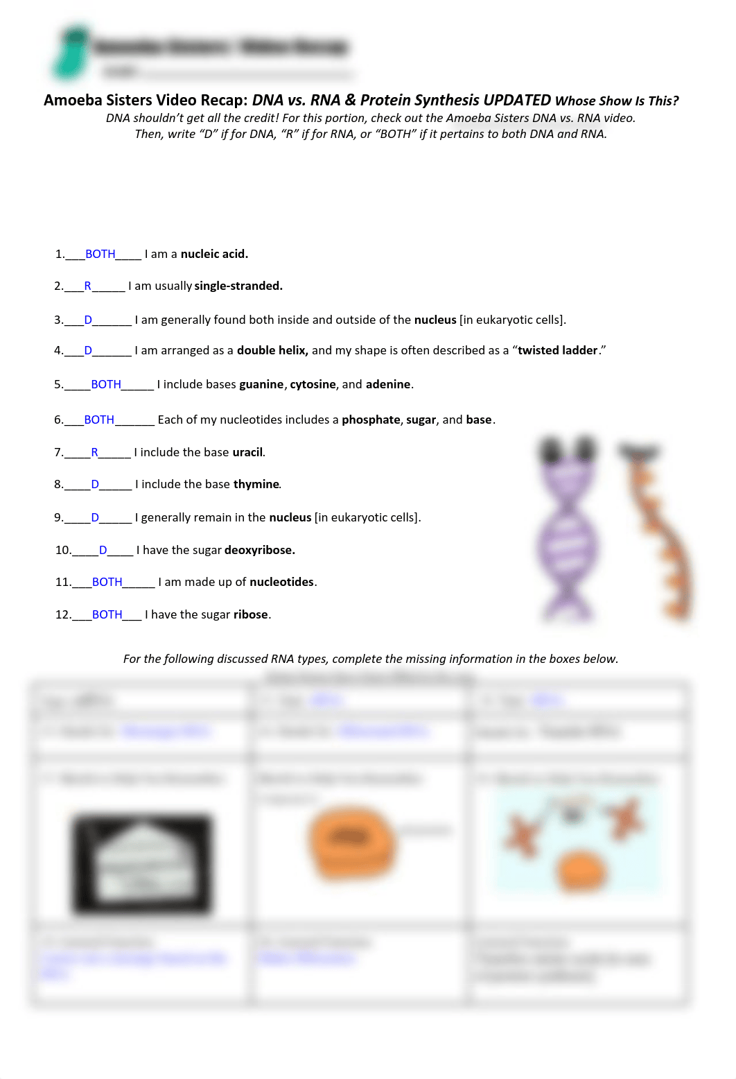 Ameoba Sisters DNA vs RNA & Protein Synthesis.pdf_do9kiekuhjm_page1