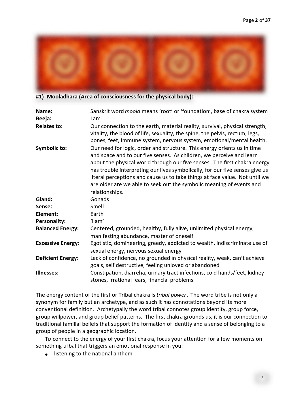 CHAKRAS-ENERGY-VORTEXES-BOOK-1_do9mu848pdb_page2