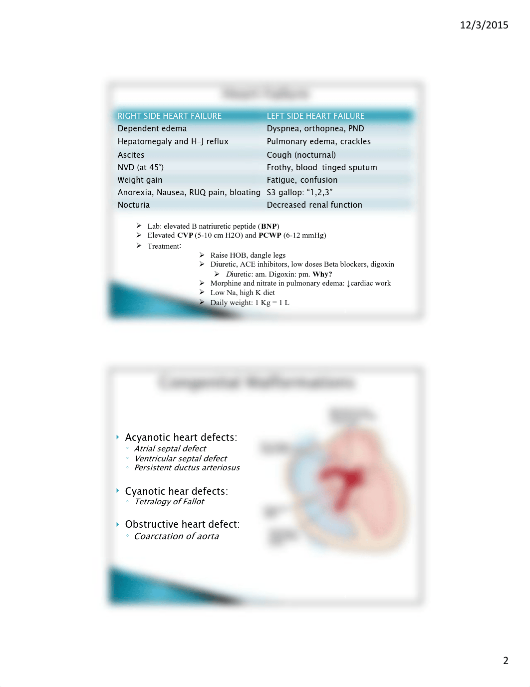 Class 9 cardiovascular.pdf_do9nx5fkmtd_page2