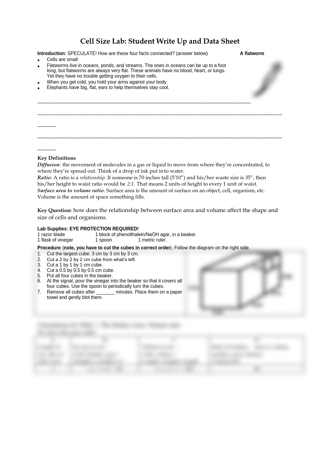 StudentTheCellSizeSurfaceAreatoVolumeLan (1).pdf_do9zqv7crac_page1