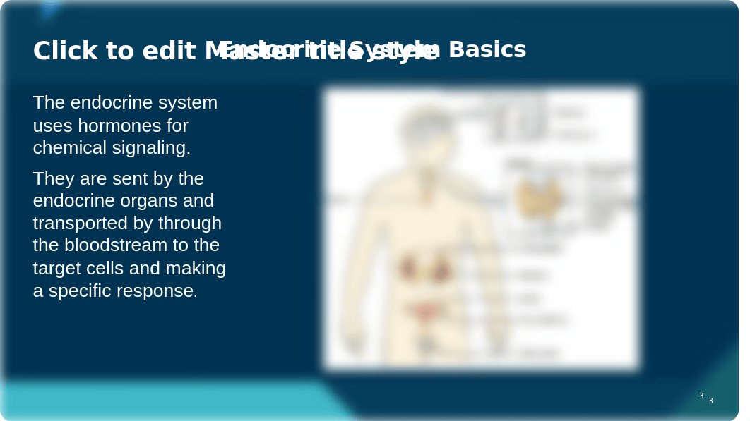 Pharmacology LP 3 Competency 9 PowerPoints Student Copy.pptx_do9zwnhpb8d_page3