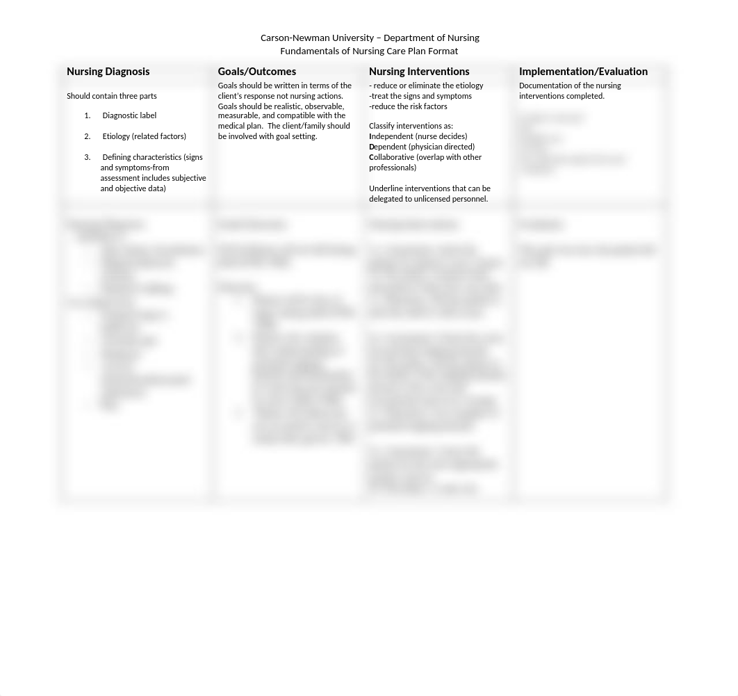 Falls Risk Care Plan.docx_doa4bz9vqvr_page1