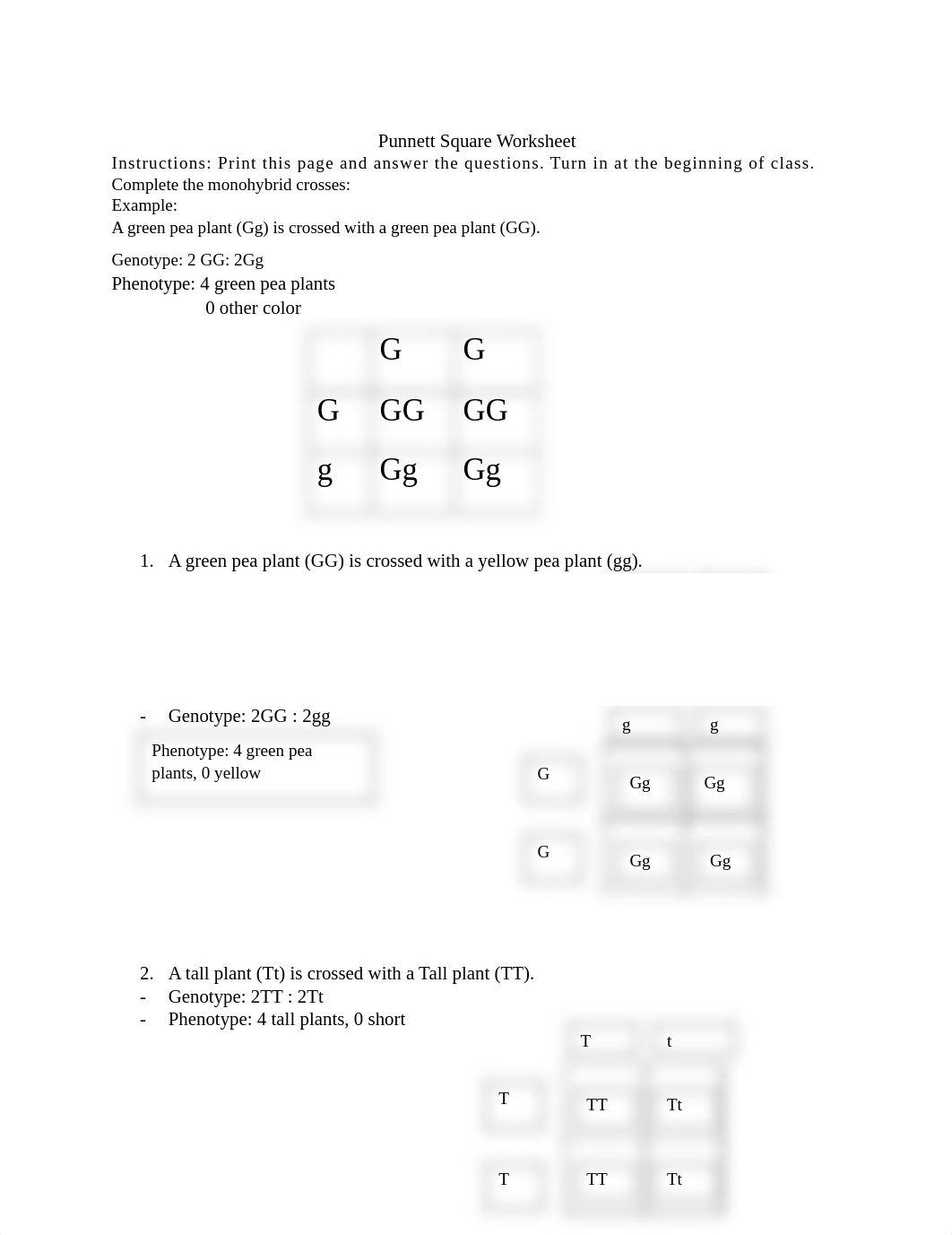 Punnett Square Worksheet (1).pdf_doacu1l309e_page1