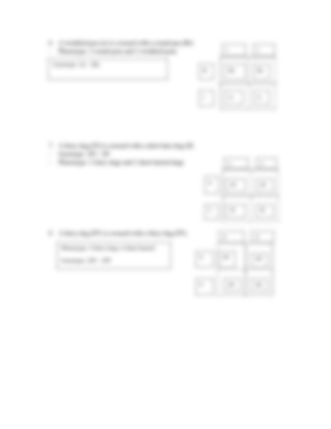 Punnett Square Worksheet (1).pdf_doacu1l309e_page3