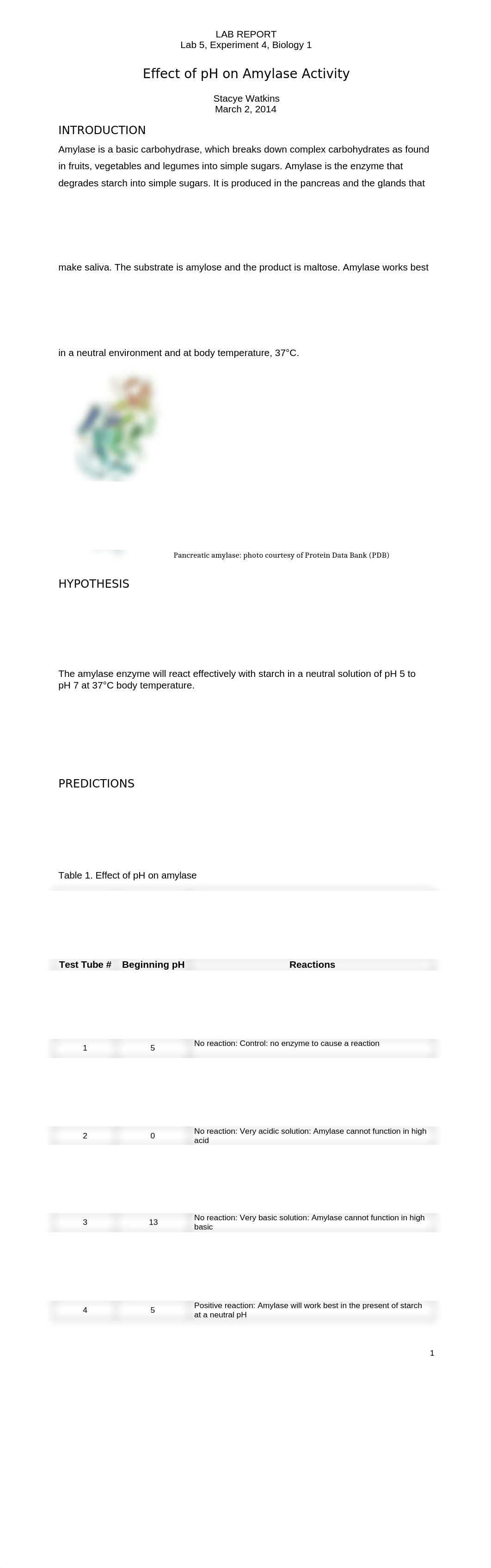 Bio 1 Amylase Report WATKINS_doaktvqctz5_page1