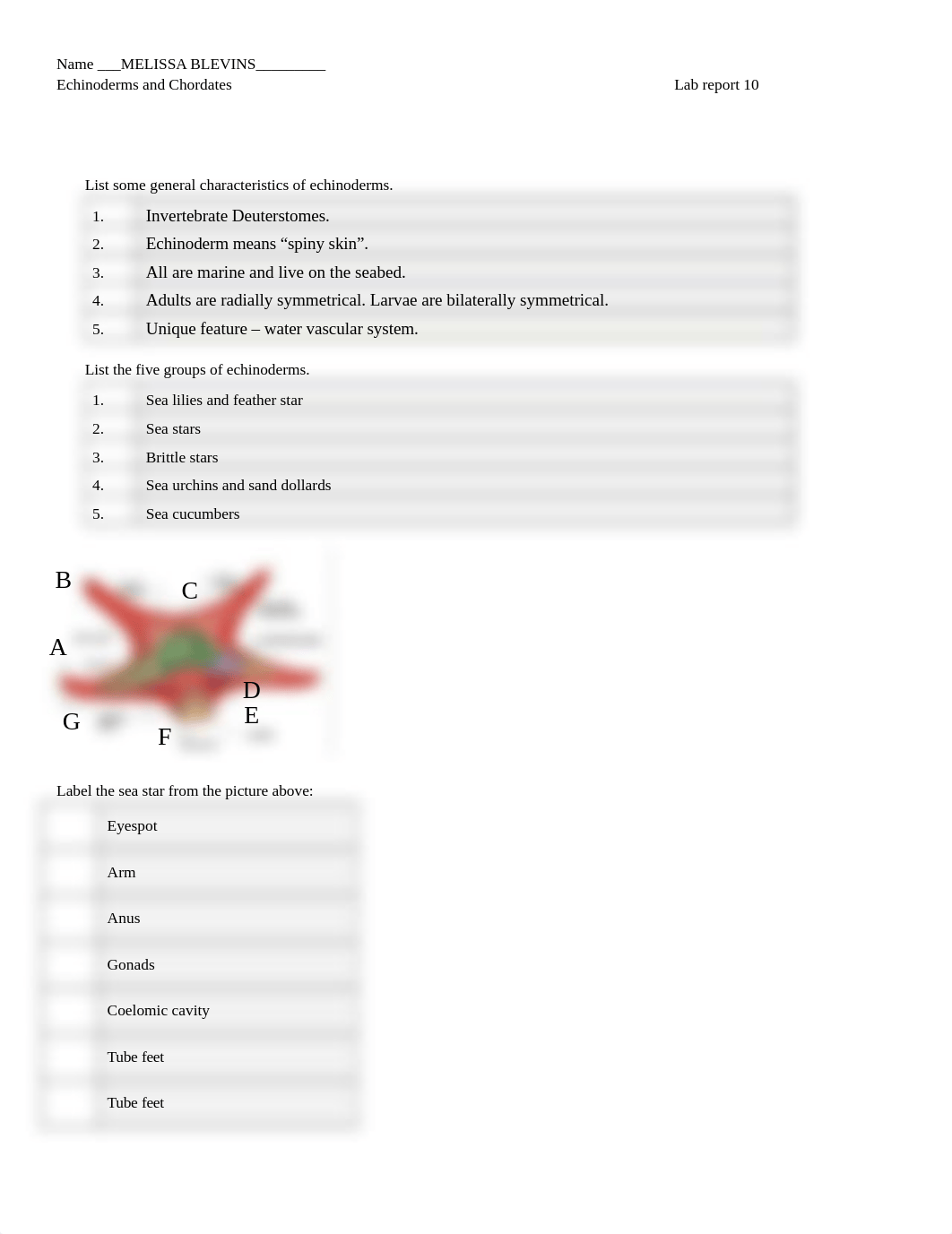 Lab Report 10 Echinoderms and Chordates (2) MELISSA BLEVINS.docx_doar697hg5m_page1